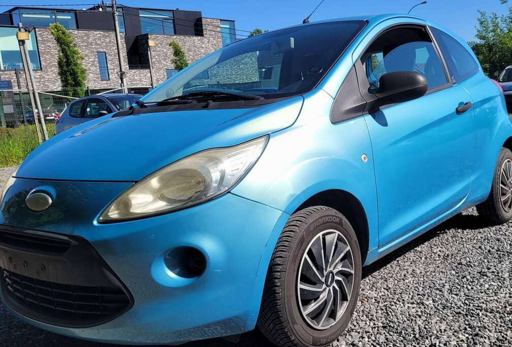 Ford 1.2i AL GEKEURD ROOS FORMULIER 2010