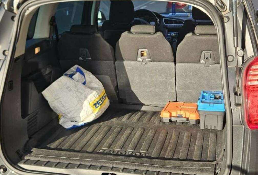 Peugeot HDI FAP 150 Family Plus