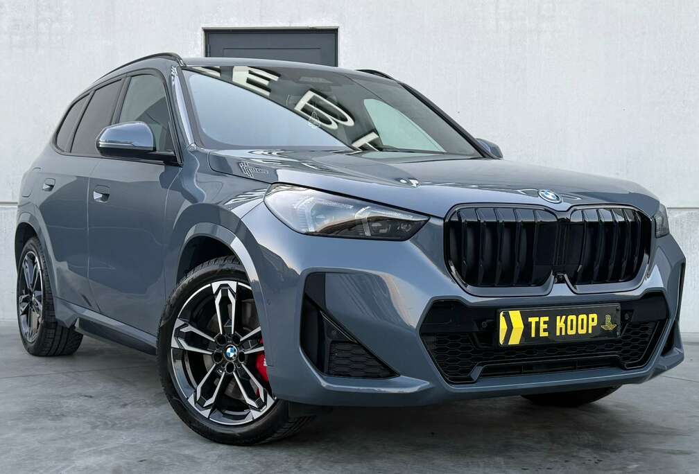 BMW PHEV*M Sport Pro * Driving Assist Pro * Parking Assist Pro * Head-Up * Adaptieve LED * Adaptief M * Comfort Access * 360°