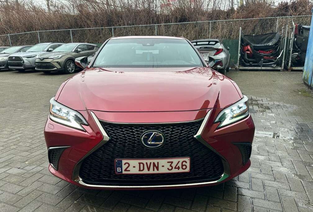 Lexus 2.5i 300h F Sport Line