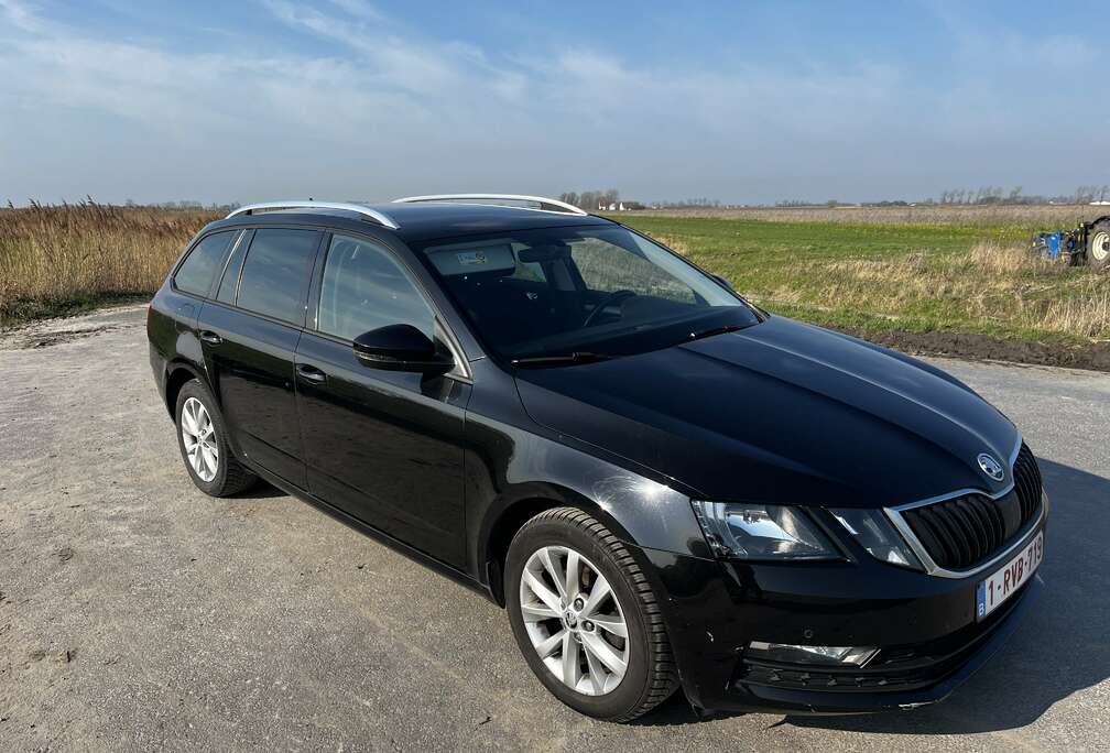 Skoda SW 1.6 CR TDi Style DSG (EU6.2)