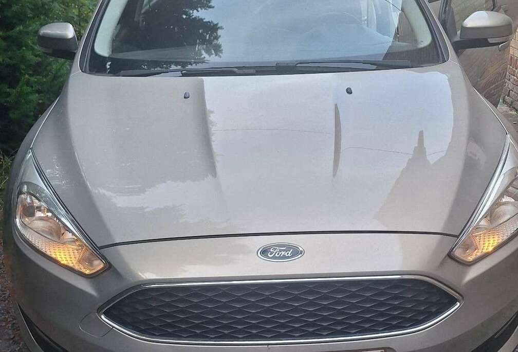 Ford ecoboost