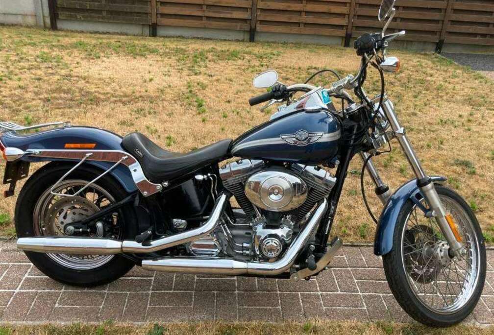 100TH Anniversaire Softail Standart