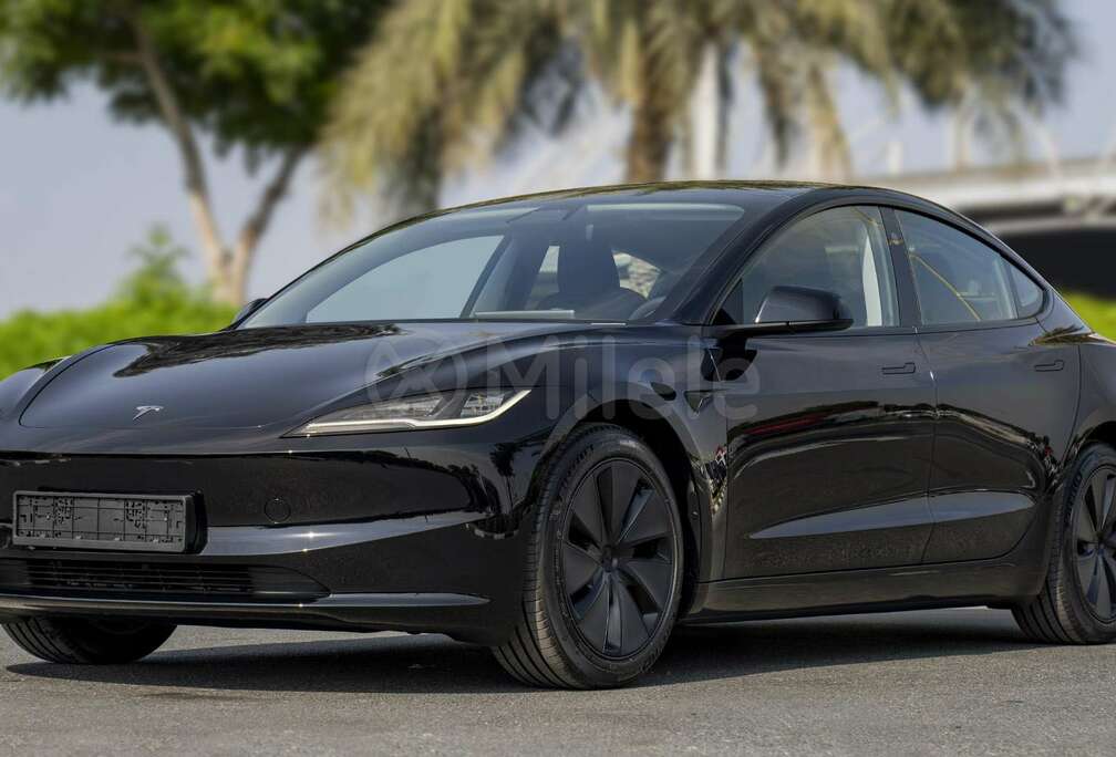 Tesla Model 3 Langstreckenbatt. Allradantrieb Dual Motor