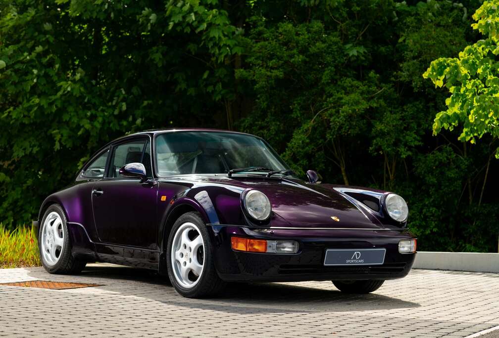 Porsche Jubilee #273