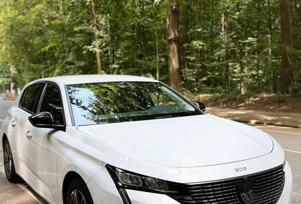 Peugeot Peugeot 308 3 1.2 Hybrid 136 e-DSC6