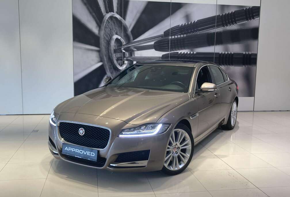 Jaguar Prestige