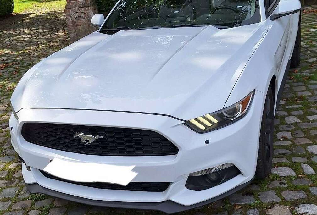 Ford convertible 2.3 ecoboost