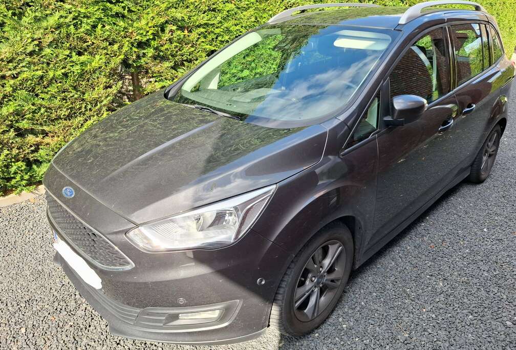 Ford C-Max 1.5 TDCi Business Class (EU6.2)