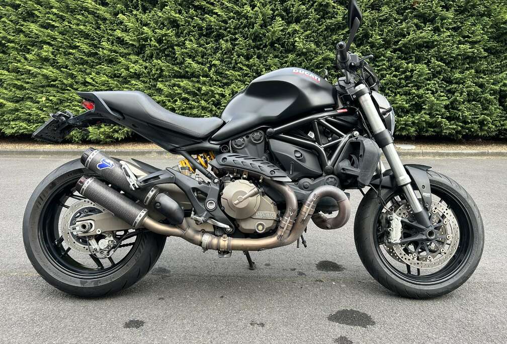 Monster 821