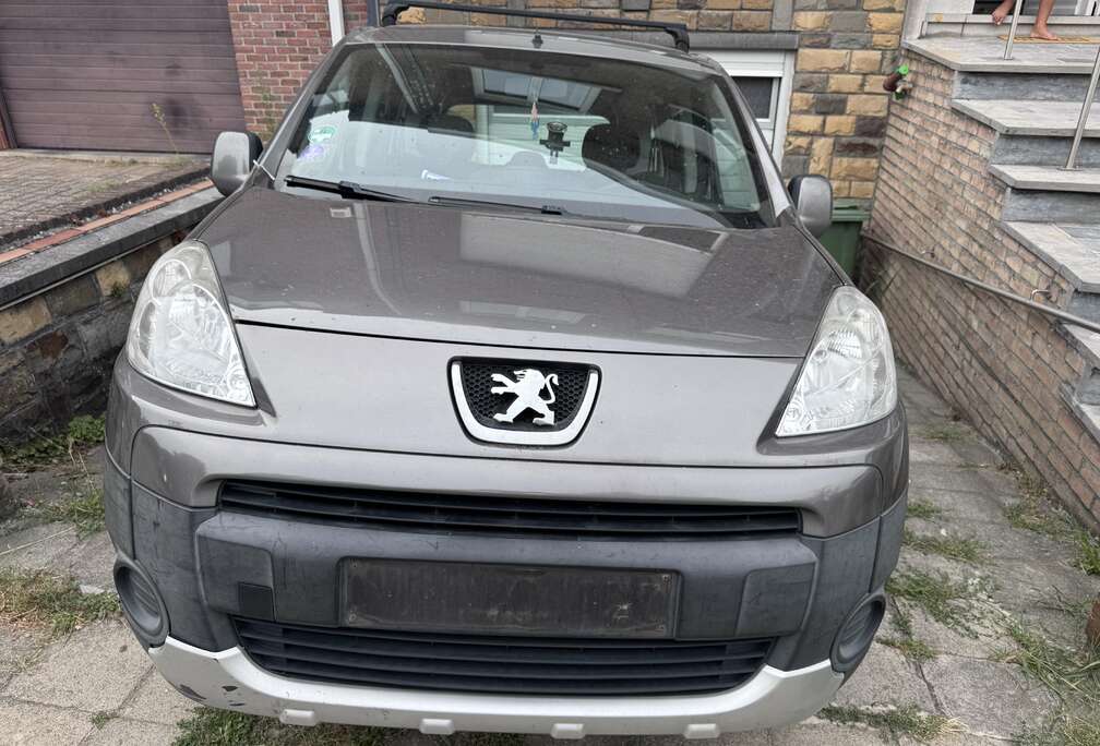 Peugeot Tepee 1.6i Confort