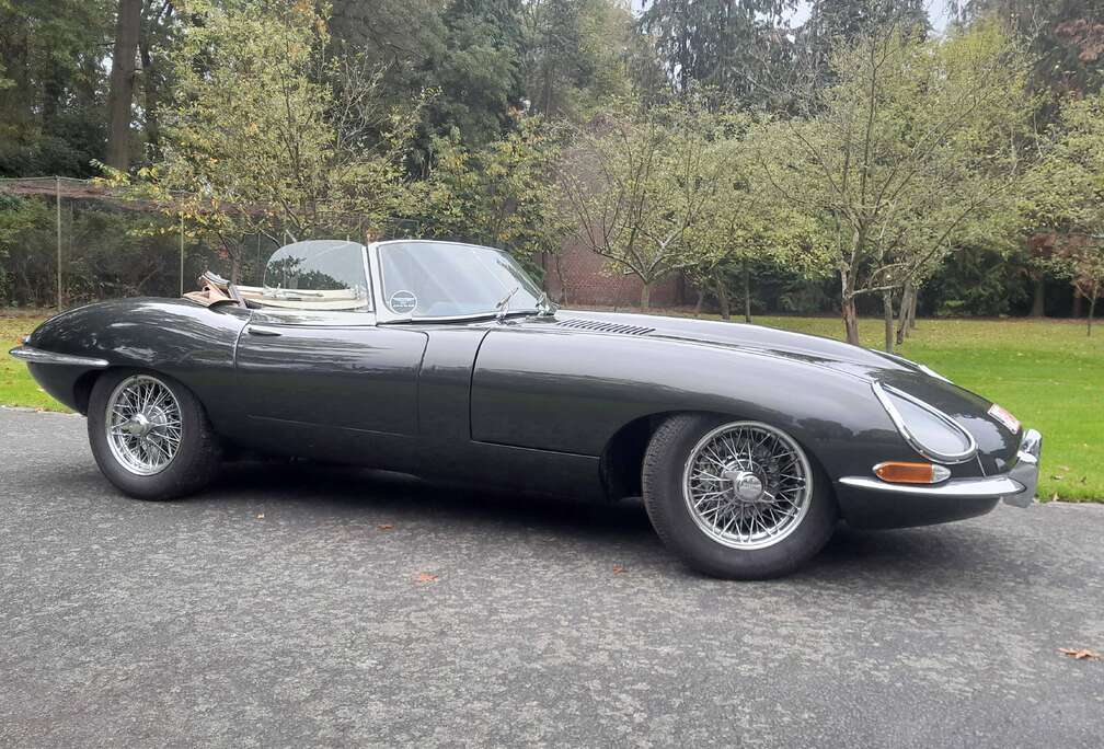Jaguar 1 1/2 4.2 ots