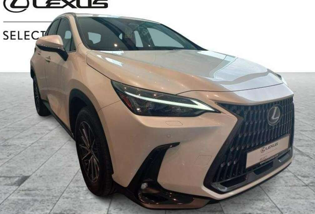 Lexus Executive