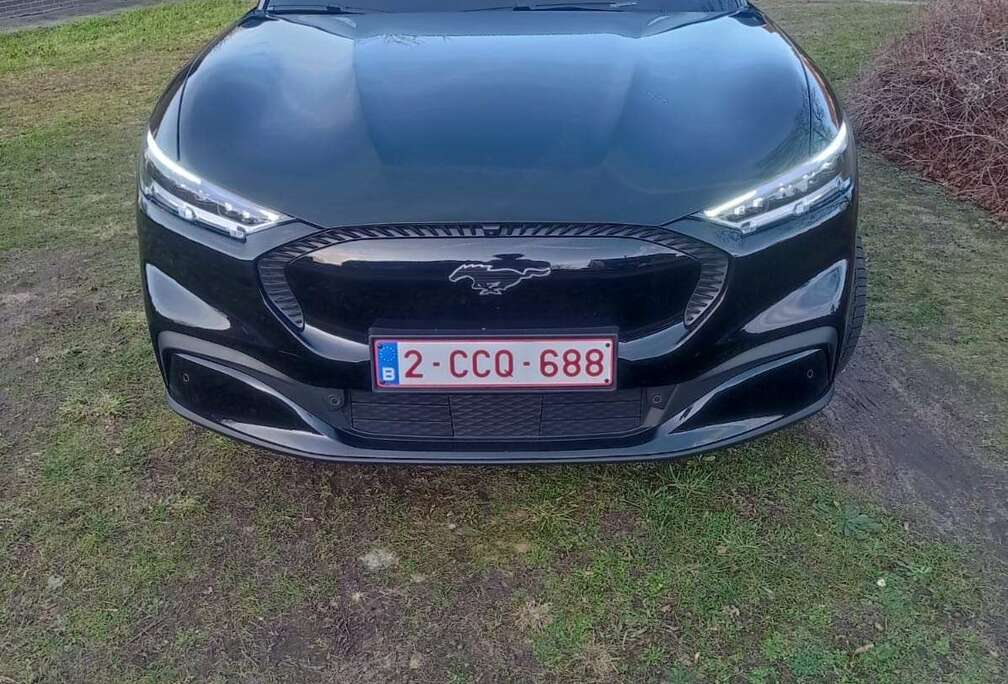 Ford AWD