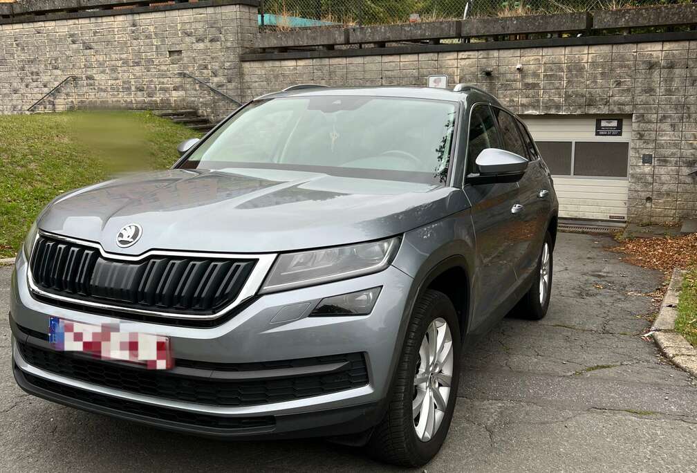 Skoda 2.0 CR TDi Style DSG (EU6AP)
