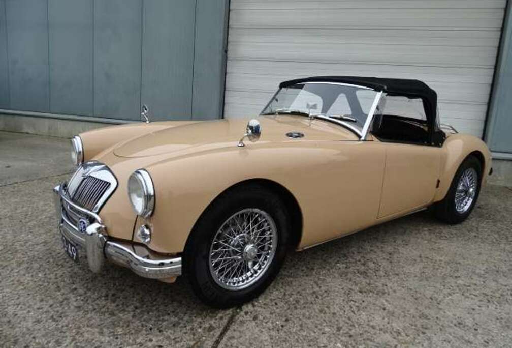 MG