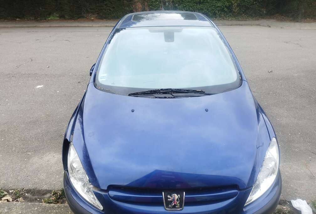 Peugeot 307 1.6i 16v XS