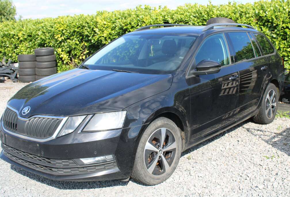 Skoda SW 1.0 TSI Ambit-VOOR EXPORT-VEEL OPT-3700+BTW