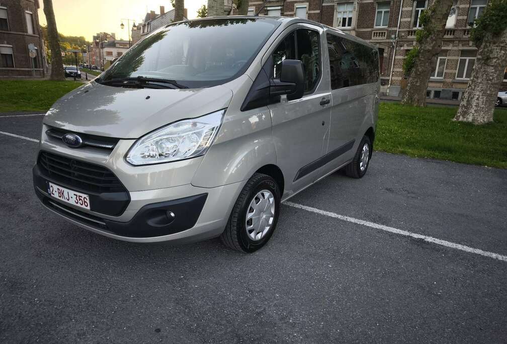 Ford 310 L1H1 2.0 TDCi 130 Titanium