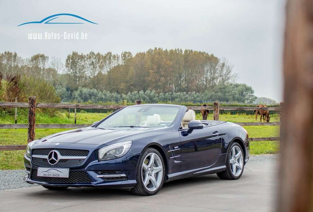 Mercedes-Benz AMG Cabrio 4.7 V8 / HISTORIEK / CAMERA / MASSAGE