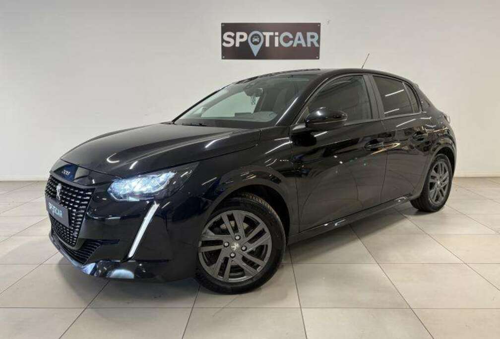 Peugeot Active Pack - GPS