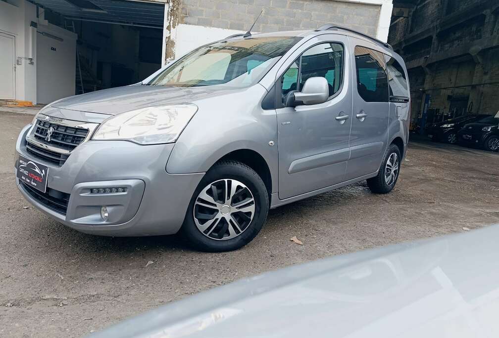 Peugeot Partner Tepee 1.6 HDi Premium FAP