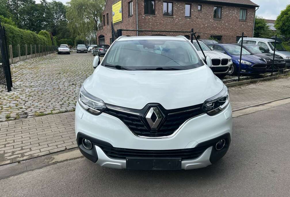 Renault S-edition benzine  96 kw met 1 jaar garantie