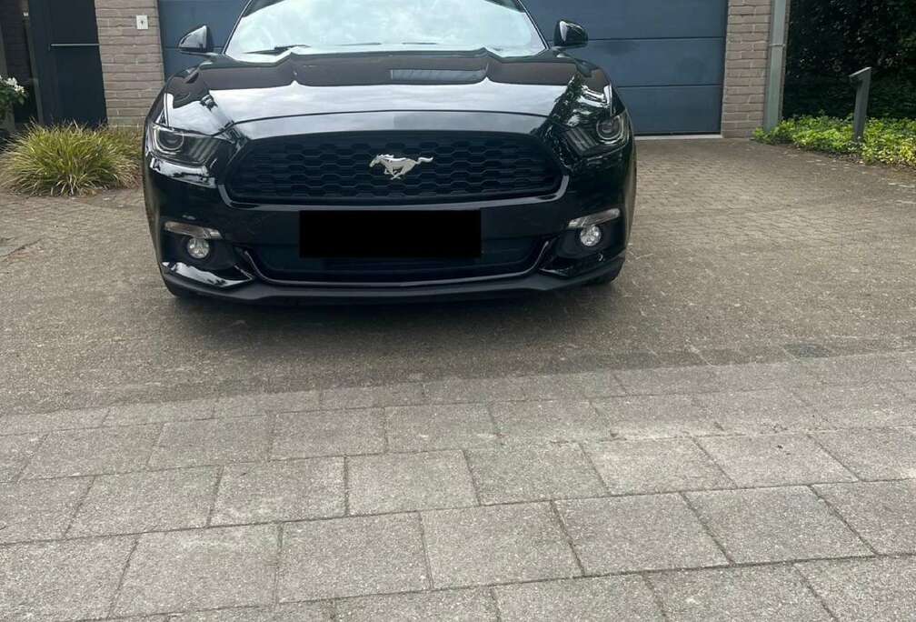 Ford Cabrio 2.3 Eco Boost