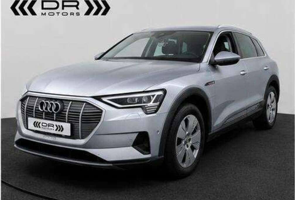 Audi 55 - AIRSUSPENSION - CAMERA