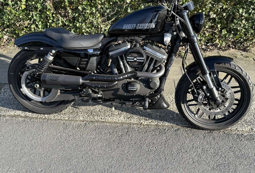 Sportster roadster