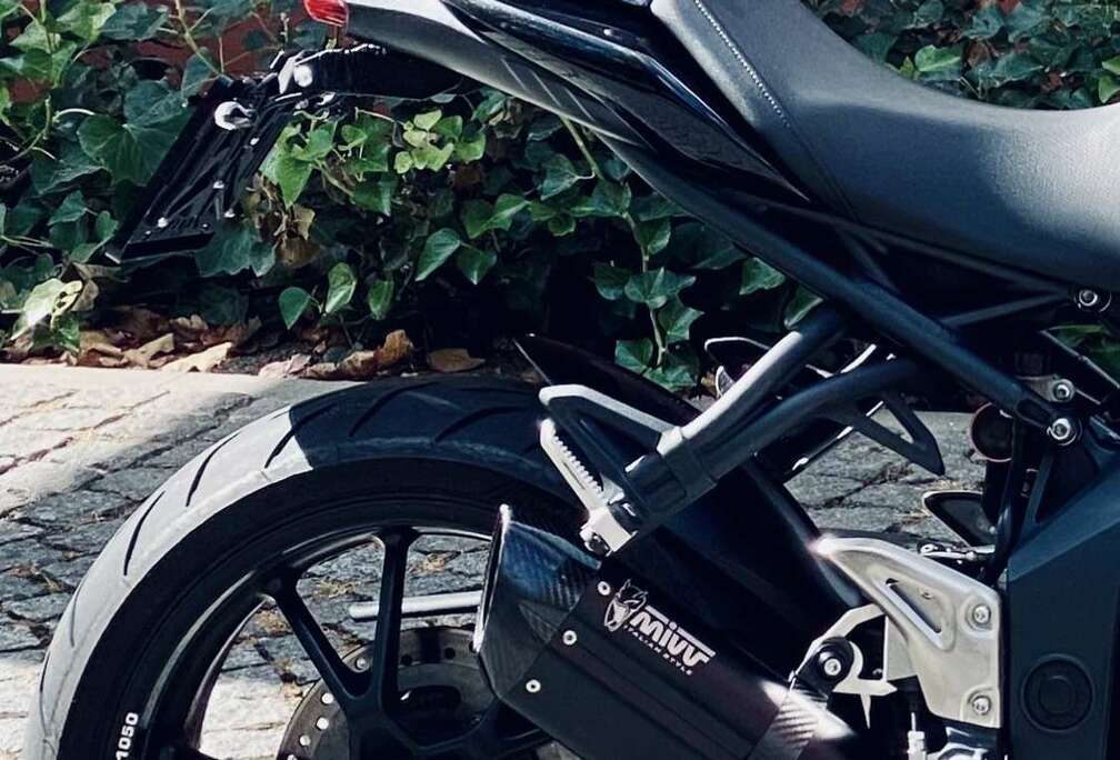 Triumph ABS Black Stripe