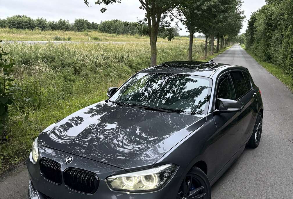 BMW Bmw M140 H&K Sound, Panodak, Alcantara
