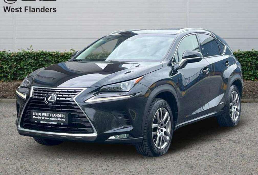 Lexus EXECUTIVE LINE