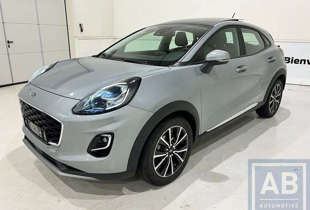 Ford * Titanium - Pano dak *