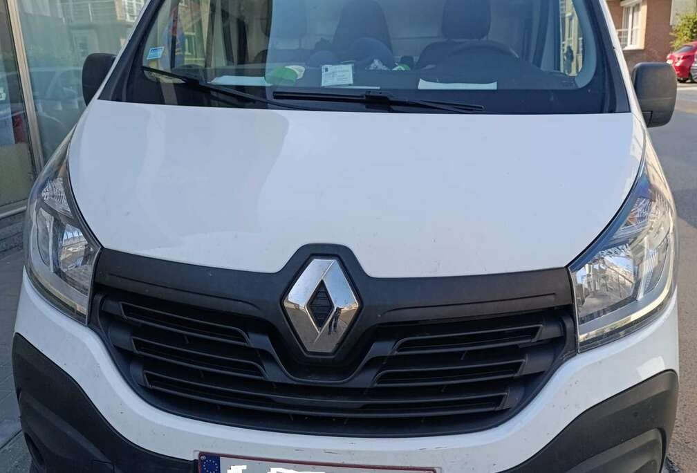 Renault 2.0 dCi 29 L2H1 Business (Fleet)