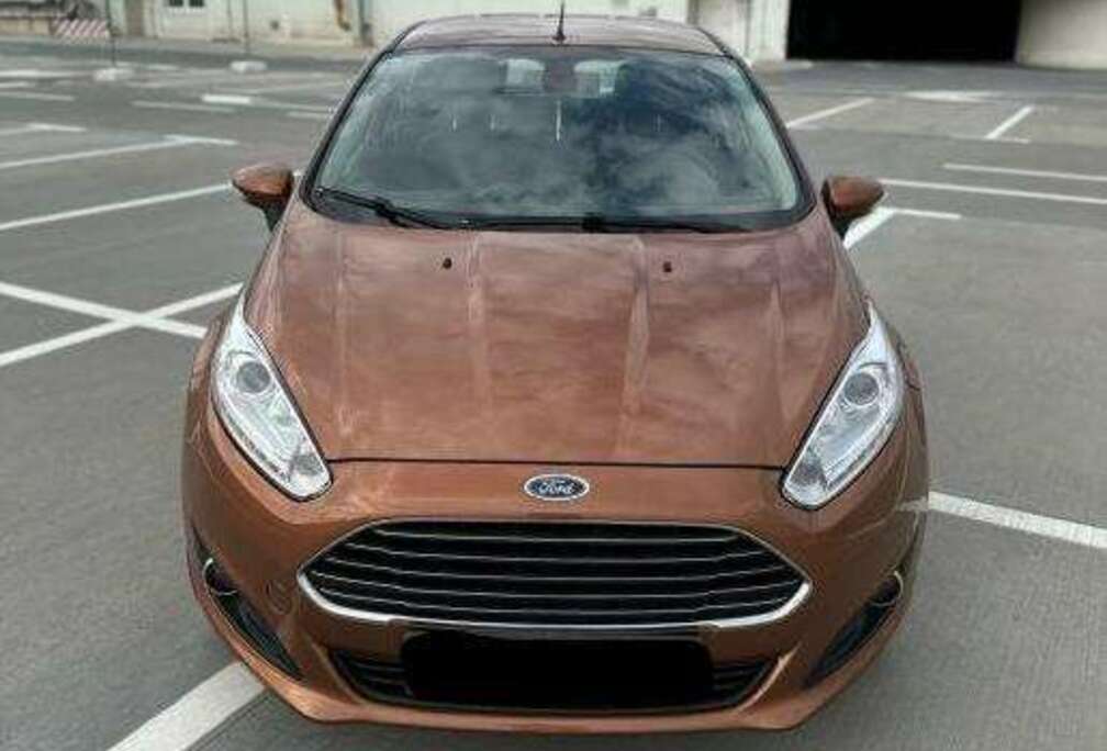 Ford Fiesta 1.4 TDCi Ambiente