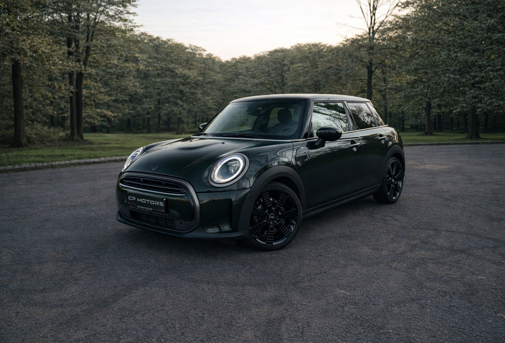 MINI 5-DEURS  RESOLUTE EDITIE  PANO  H&K  HUD  CAMERA  VOLLEDER  BTW-WAGEN