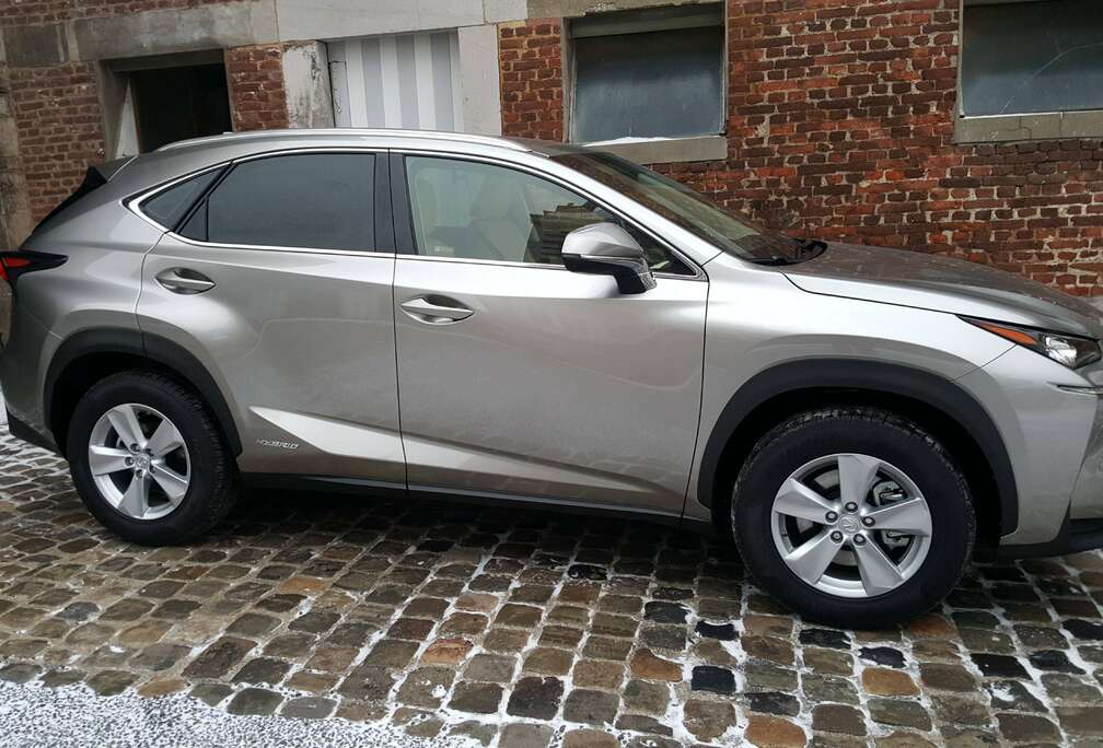 Lexus NX 300h 2.5i AWD Business Edition E-CVT