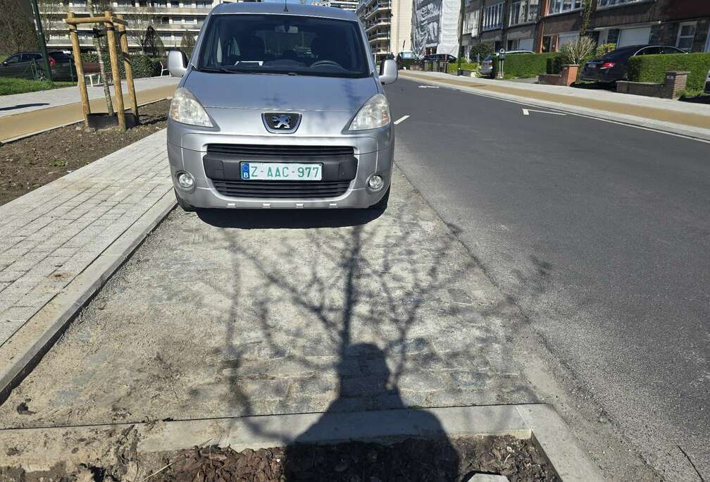 Peugeot Tepee 1.6 HDi Family FAP