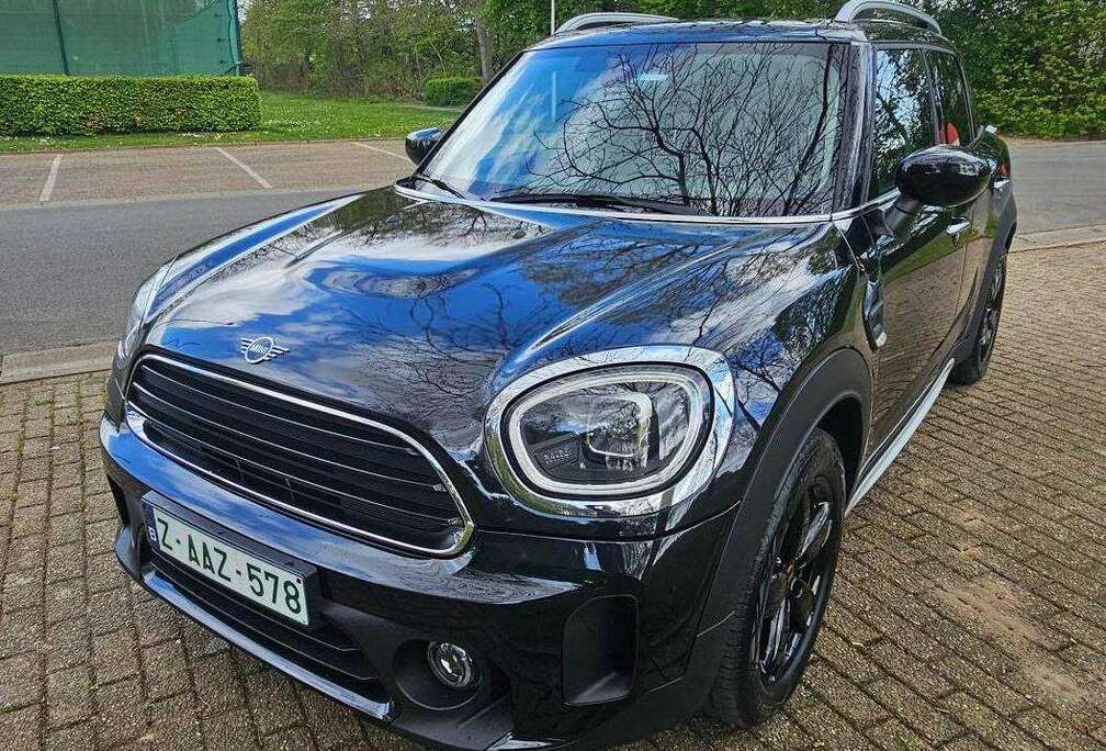 MINI cooper D trim