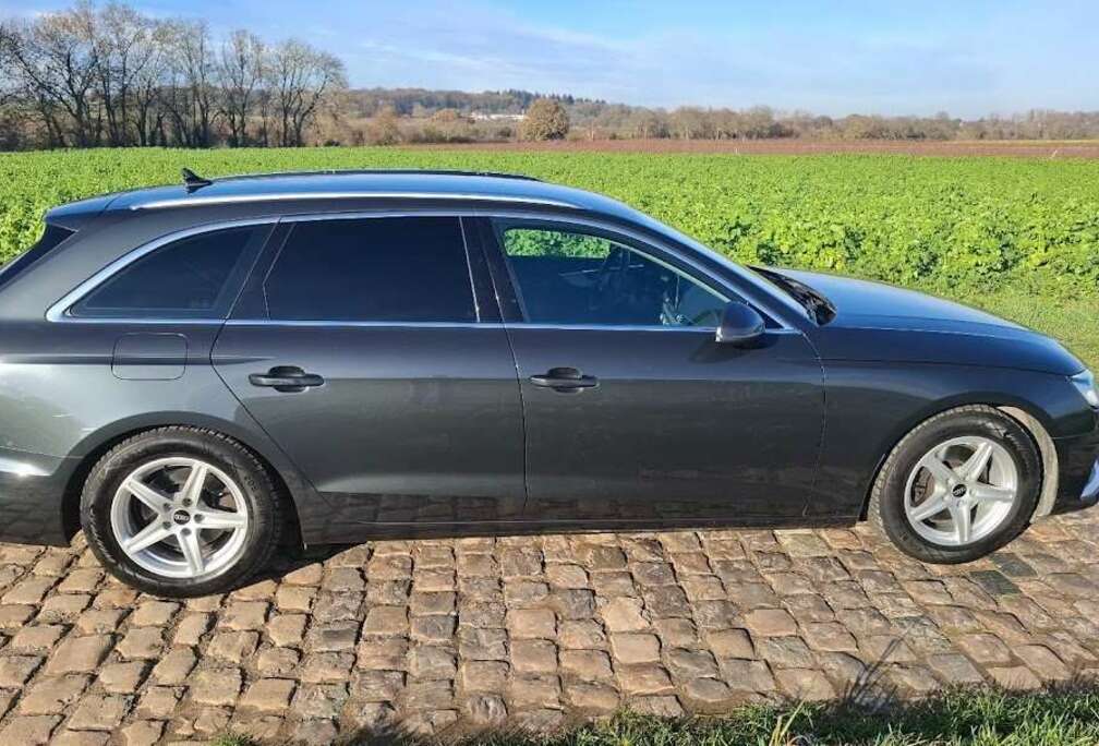 Audi Avant 30 TDi Business Edition S tronic cuir, led