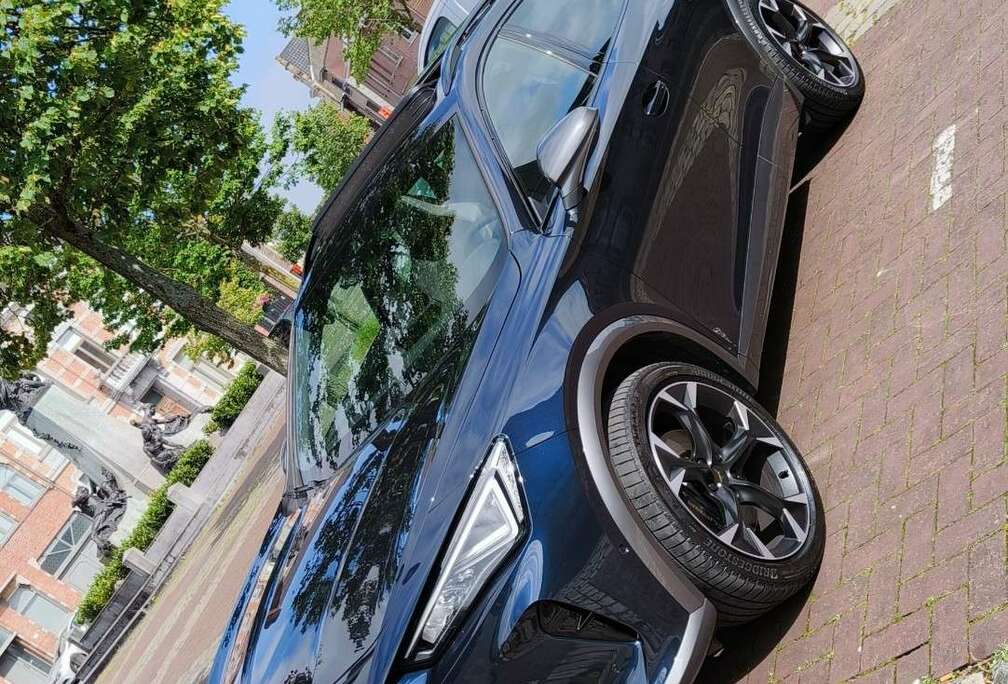 VZ 2.0 TSI 4Drive DSG