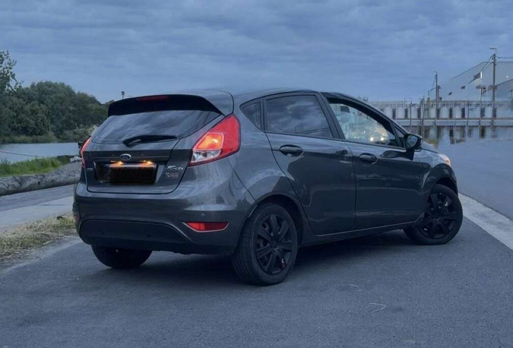 Ford 1.0 EcoBoost (Euro6b)
