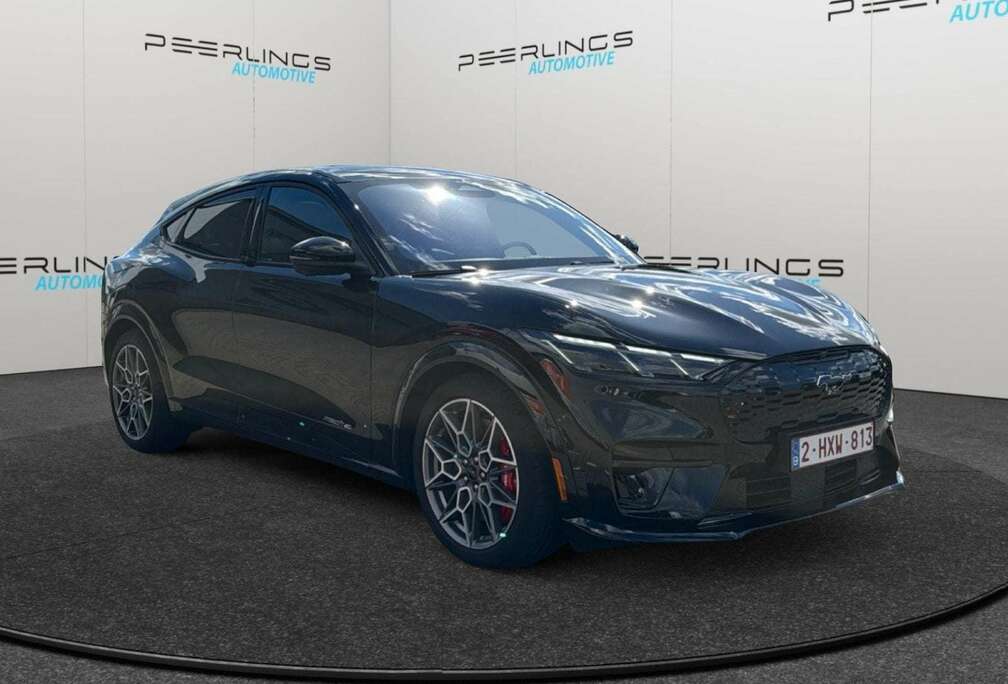 Ford 91 kWh AWD GT