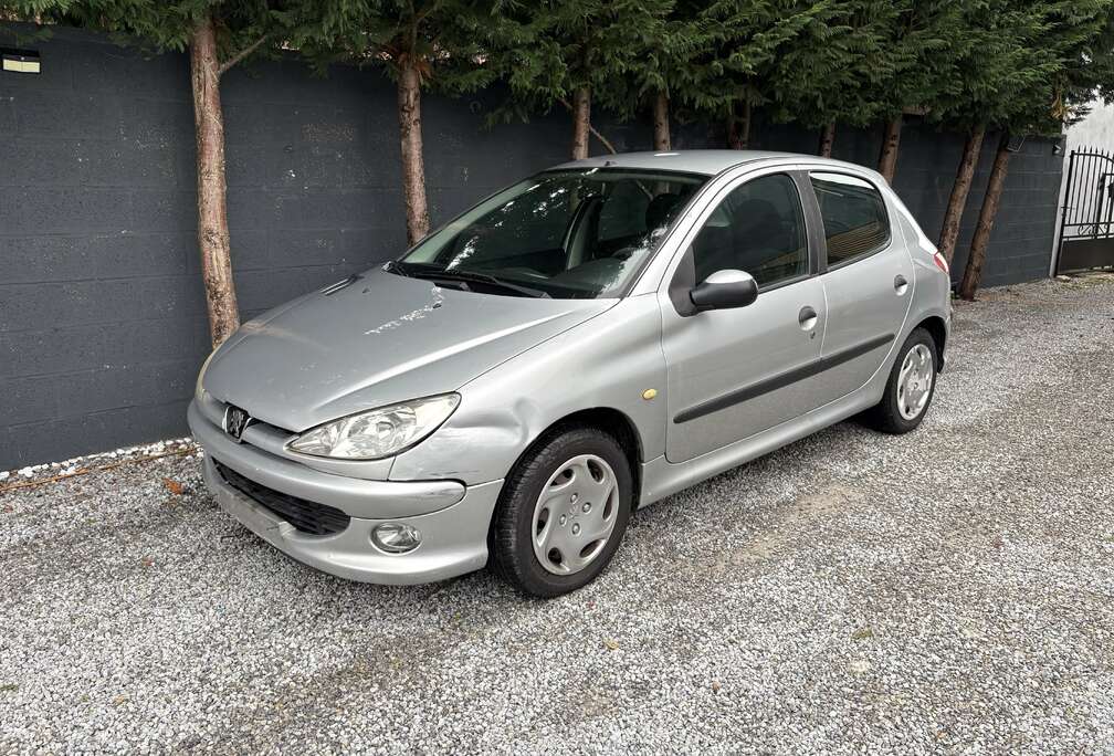 Peugeot Peugeot 206 plus 1,4hdi