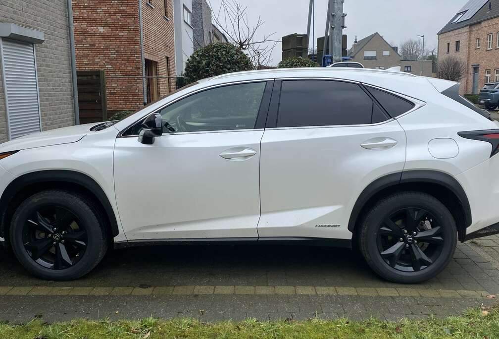 Lexus 2.5i AWD Dynamic Line E-CVT