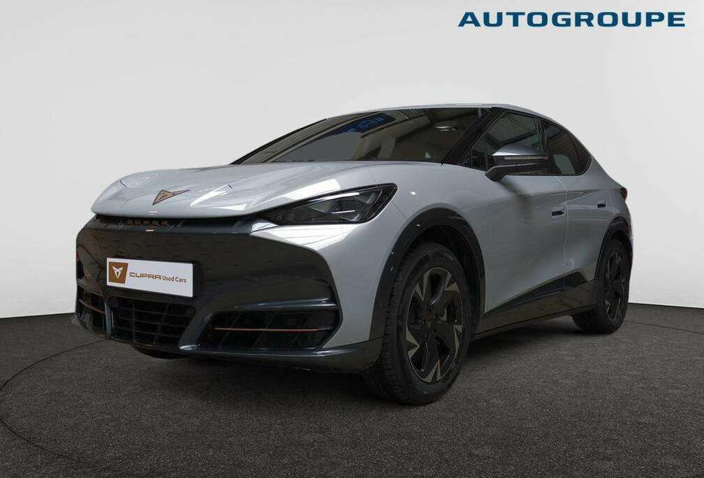 Tavascan Endurance Business 286ch (210kW) v 77 kWh Rear Wheel Drive