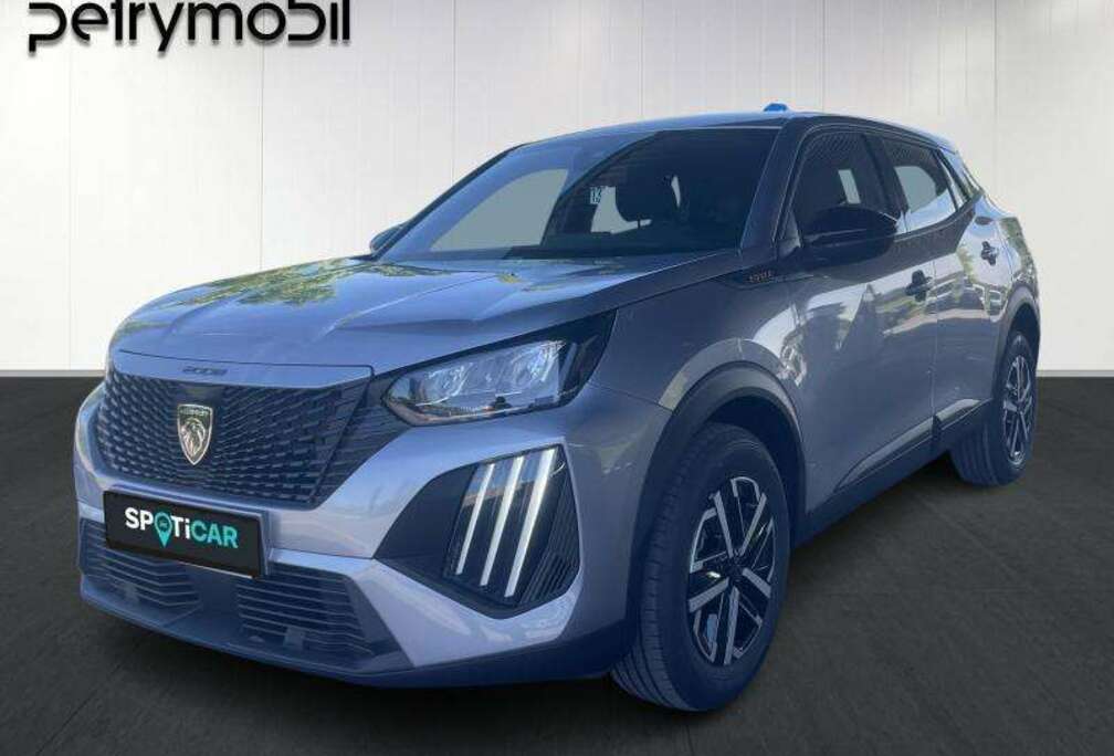 Peugeot II // VEHICULE DE DIRECTION //