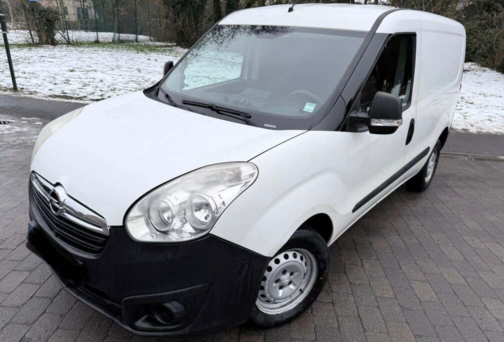 Opel 1.3 CDTi L2H1 (EU6)