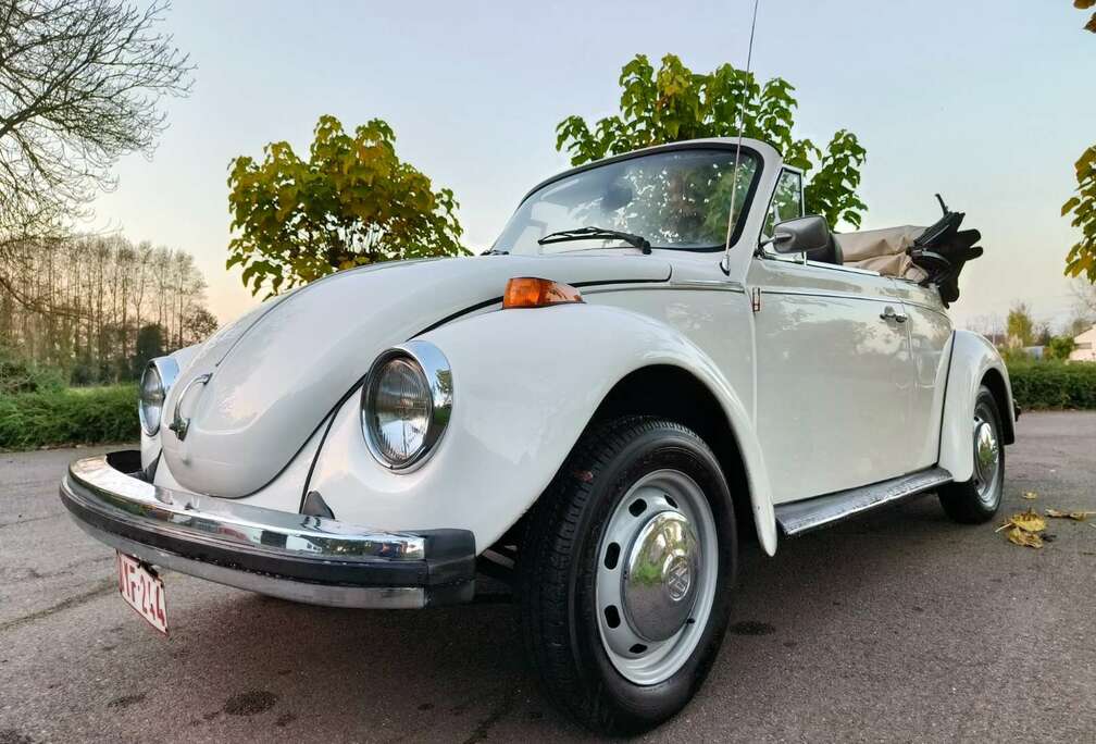 Volkswagen Cabrio 1303